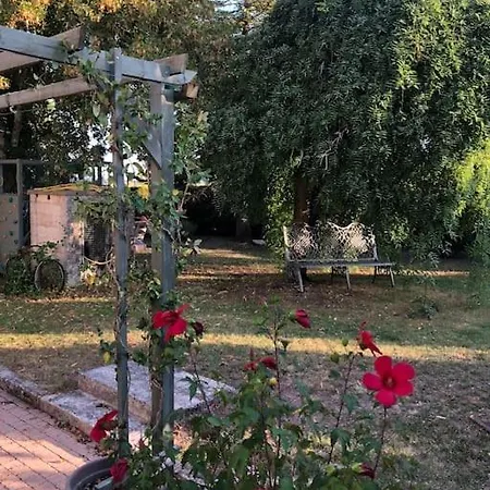 Maison De Famille Avec Piscine Au Coucou Chanteur * Gout-Rossignol